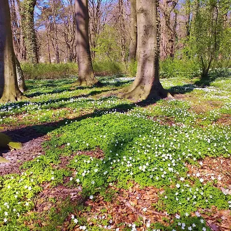 Al-dom Gold * Kolobrzeg