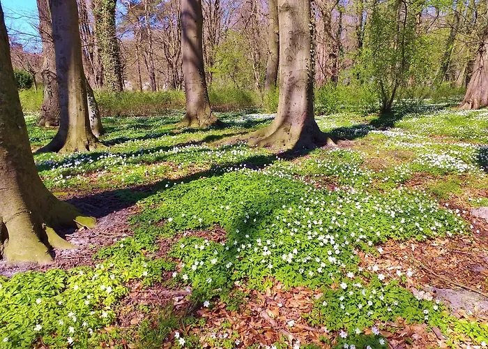 Al-dom Gold * Kołobrzeg